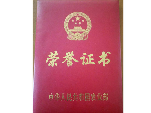 榮譽證書